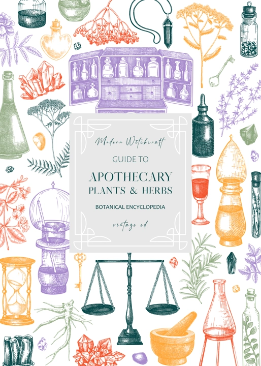 Antique apothecary label design. Herbal medicine hand-drawn vector illustrations. Alchemy sketches in color. NOT AI generated